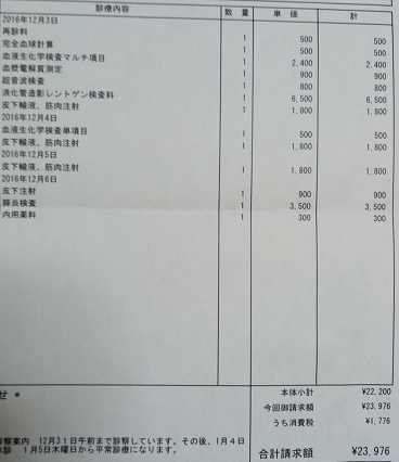 猫の膵炎の完治と治療費 糖尿病まで治るかもしれない不思議な事 